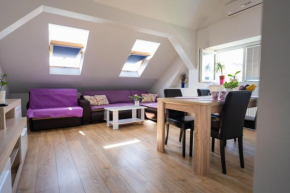 Apartment Andro,Trnje, private garage Zagreb